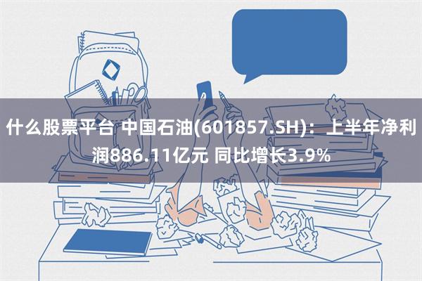 什么股票平台 中国石油(601857.SH)：上半年净利润8