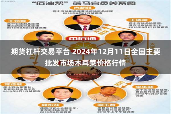 期货杠杆交易平台 2024年12月11日全国主要批发市场木耳菜价格行情