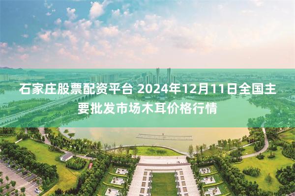 石家庄股票配资平台 2024年12月11日全国主要批发市场木耳价格行情