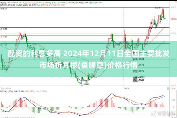 配资的利息多高 2024年12月11日全国主要批发市场折耳根(鱼腥草)价格行情