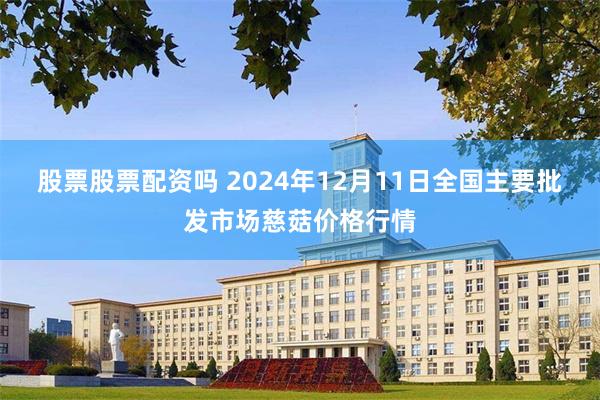 股票股票配资吗 2024年12月11日全国主要批发市场慈菇价格行情