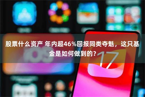 股票什么资产 年内超46%回报同类夺魁，这只基金是如何做到的？