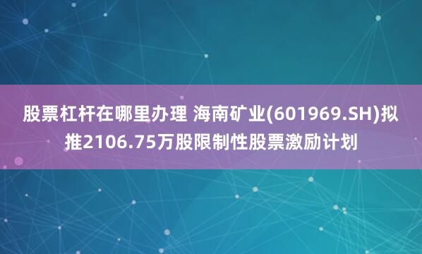 股票杠杆在哪里办理 海南矿业(601969.SH)拟推2106.75万股限制性股票激励计划