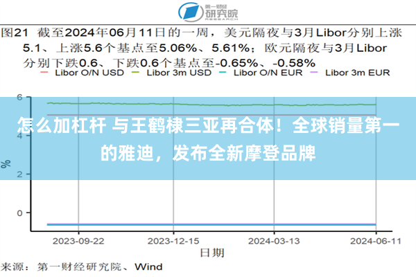 怎么加杠杆 与王鹤棣三亚再合体！全球销量第一的雅迪，发布全新摩登品牌