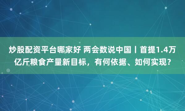 炒股配资平台哪家好 两会数说中国丨首提1.4万亿斤粮食产量新目标，有何依据、如何实现？