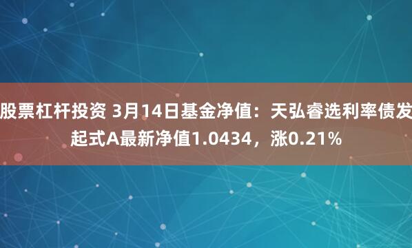 股票杠杆投资 3月14日基金净值：天弘睿选利率债发起式A最新净值1.0434，涨0.21%